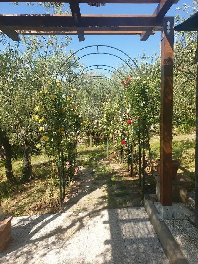 Casa Vacanze L'Oliveta 시에나 펜션